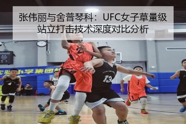 张伟丽与舍普琴科：UFC女子草量级站立打击技术深度对比分析