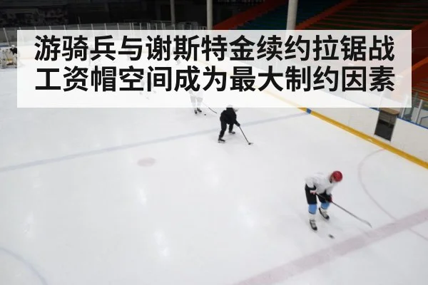 ice hockey rink