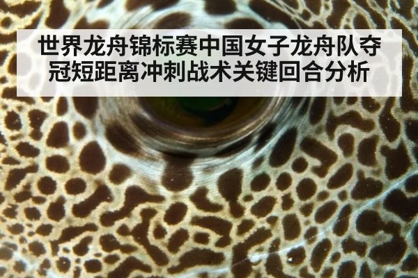 世界龙舟锦标赛中国女子龙舟队夺冠短距离冲刺战术关键回合分析